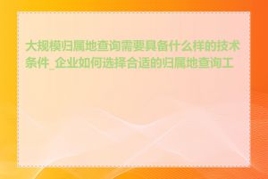 大规模归属地查询需要具备什么样的技术条件_企业如何选择合适的归属地查询工具