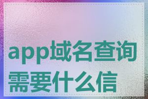 app域名查询需要什么信息