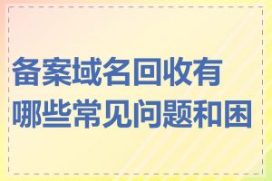 备案域名回收有哪些常见问题和困难