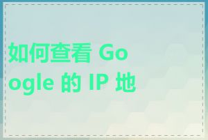 如何查看 Google 的 IP 地址