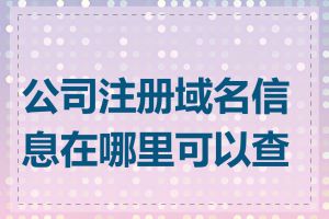 公司注册域名信息在哪里可以查到