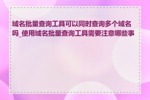 域名批量查询工具可以同时查询多个域名吗_使用域名批量查询工具需要注意哪些事项