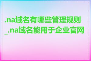 .na域名有哪些管理规则_.na域名能用于企业官网吗