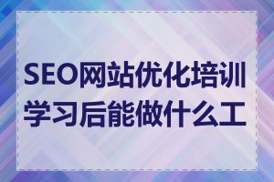 SEO网站优化培训学习后能做什么工作