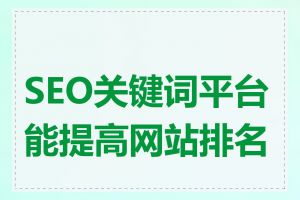 SEO关键词平台能提高网站排名吗