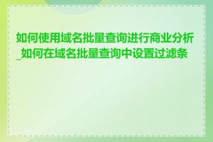 如何使用域名批量查询进行商业分析_如何在域名批量查询中设置过滤条件