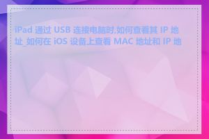 iPad 通过 USB 连接电脑时,如何查看其 IP 地址_如何在 iOS 设备上查看 MAC 地址和 IP 地址