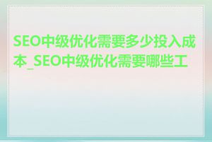 SEO中级优化需要多少投入成本_SEO中级优化需要哪些工具