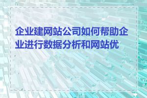 企业建网站公司如何帮助企业进行数据分析和网站优化