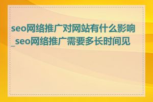 seo网络推广对网站有什么影响_seo网络推广需要多长时间见效