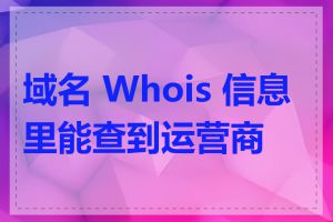 域名 Whois 信息里能查到运营商吗