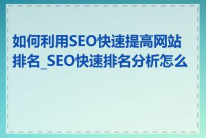 如何利用SEO快速提高网站排名_SEO快速排名分析怎么做