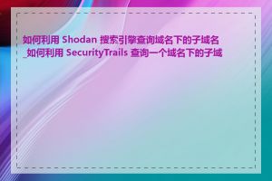 如何利用 Shodan 搜索引擎查询域名下的子域名_如何利用 SecurityTrails 查询一个域名下的子域名