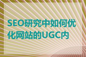 SEO研究中如何优化网站的UGC内容