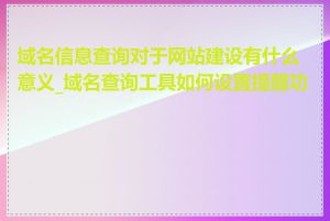 域名信息查询对于网站建设有什么意义_域名查询工具如何设置提醒功能