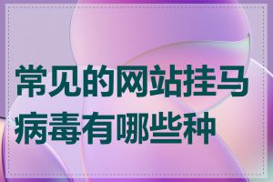 常见的网站挂马病毒有哪些种类