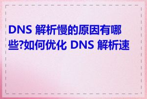 DNS 解析慢的原因有哪些?如何优化 DNS 解析速度