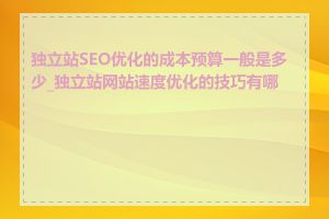 独立站SEO优化的成本预算一般是多少_独立站网站速度优化的技巧有哪些