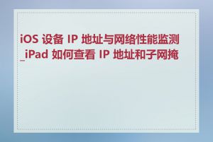 iOS 设备 IP 地址与网络性能监测_iPad 如何查看 IP 地址和子网掩码