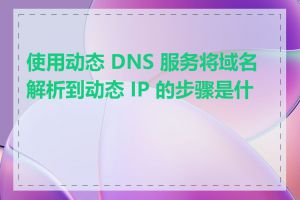 使用动态 DNS 服务将域名解析到动态 IP 的步骤是什么