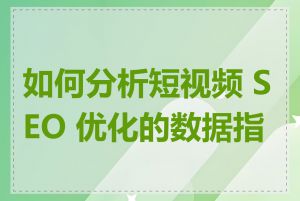 如何分析短视频 SEO 优化的数据指标