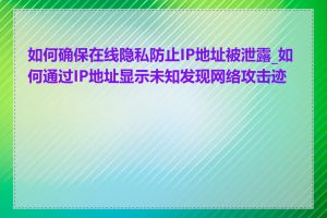 如何确保在线隐私防止IP地址被泄露_如何通过IP地址显示未知发现网络攻击迹象