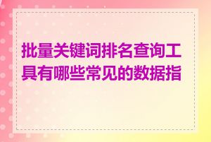 批量关键词排名查询工具有哪些常见的数据指标