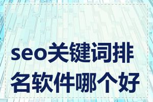 seo关键词排名软件哪个好用