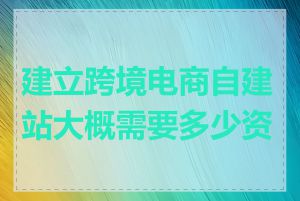 建立跨境电商自建站大概需要多少资金