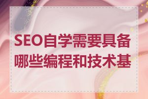 SEO自学需要具备哪些编程和技术基础