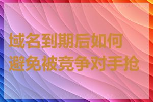 域名到期后如何避免被竞争对手抢注