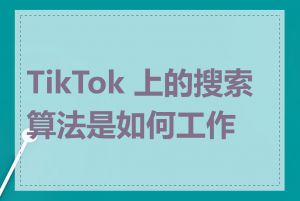 TikTok 上的搜索算法是如何工作的