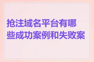 抢注域名平台有哪些成功案例和失败案例