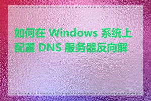 如何在 Windows 系统上配置 DNS 服务器反向解析