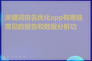 关键词排名优化app有哪些常见的报告和数据分析功能