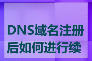 DNS域名注册后如何进行续费