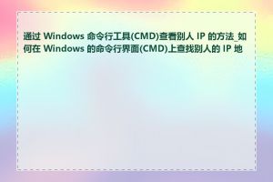 通过 Windows 命令行工具(CMD)查看别人 IP 的方法_如何在 Windows 的命令行界面(CMD)上查找别人的 IP 地址