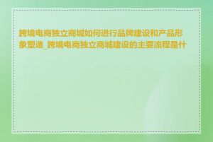 跨境电商独立商城如何进行品牌建设和产品形象塑造_跨境电商独立商城建设的主要流程是什么