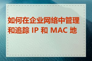 如何在企业网络中管理和追踪 IP 和 MAC 地址