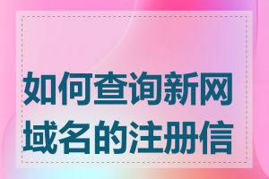 如何查询新网域名的注册信息