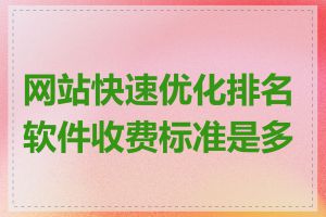 网站快速优化排名软件收费标准是多少