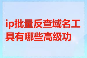 ip批量反查域名工具有哪些高级功能