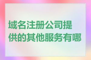 域名注册公司提供的其他服务有哪些