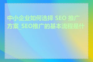 中小企业如何选择 SEO 推广方案_SEO推广的基本流程是什么