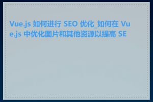 Vue.js 如何进行 SEO 优化_如何在 Vue.js 中优化图片和其他资源以提高 SEO