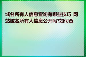 域名所有人信息查询有哪些技巧_网站域名所有人信息公开吗?如何查询