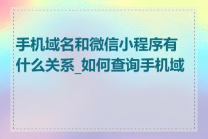 手机域名和微信小程序有什么关系_如何查询手机域名