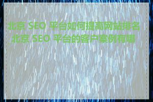 北京 SEO 平台如何提高网站排名_北京 SEO 平台的客户案例有哪些