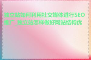 独立站如何利用社交媒体进行SEO推广_独立站怎样做好网站结构优化