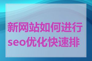 新网站如何进行seo优化快速排名